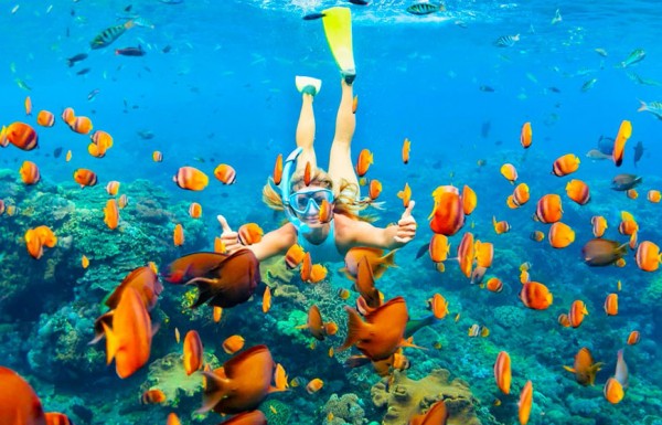 Unforgettable Day of Exploration Deluxe Snorkeling in El Gouna