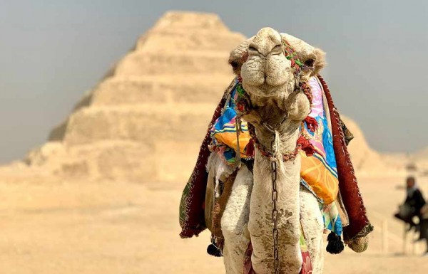 Egypt's Ancient Marvels Giza Pyramids, Memphis, Sakkara & Dahshur Full-Day Tour
