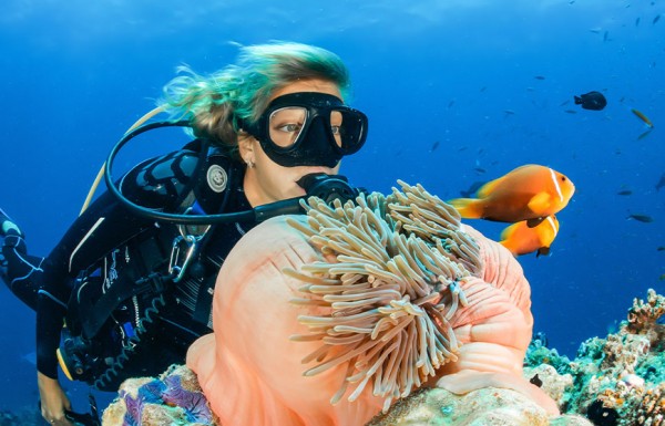 Two intro  Dives Including Equipment  From Hurghada.