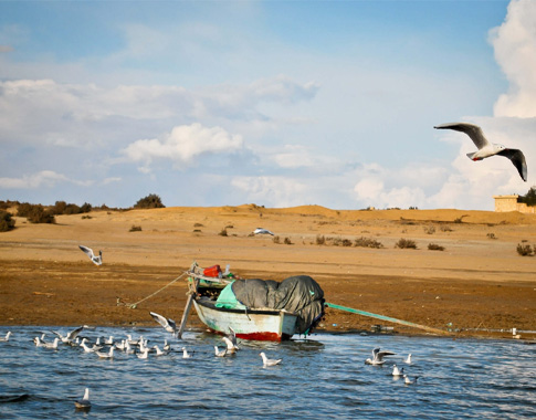 Fayoum Oasis and Giza Pyramid Adventure two Days Marvel from Marsa Alam