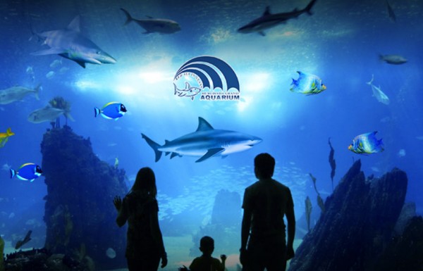 Hurghada Grand Aquarium